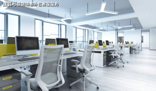 電話外包客服不專業嗎？——以社會經濟咨詢服務為例的深度探討